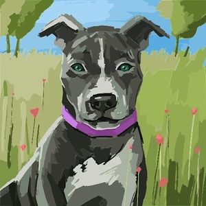 Meet your Posher, Sally